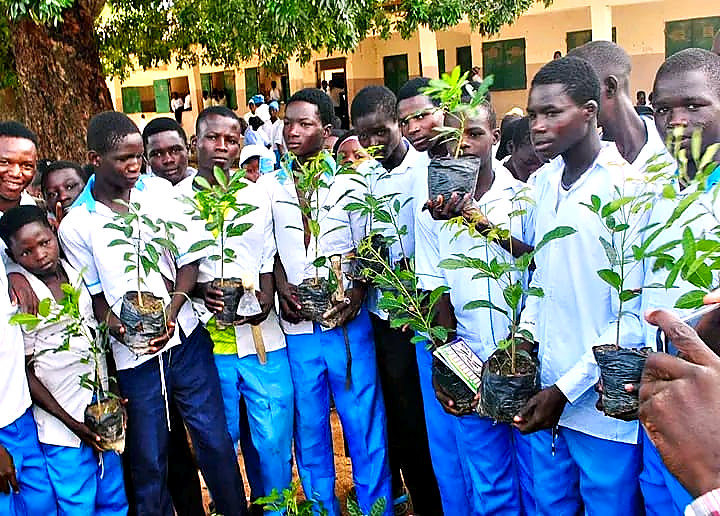 Students holding tree seedlings received during the 2026 Tree Planting Campaign in Madagali LGA