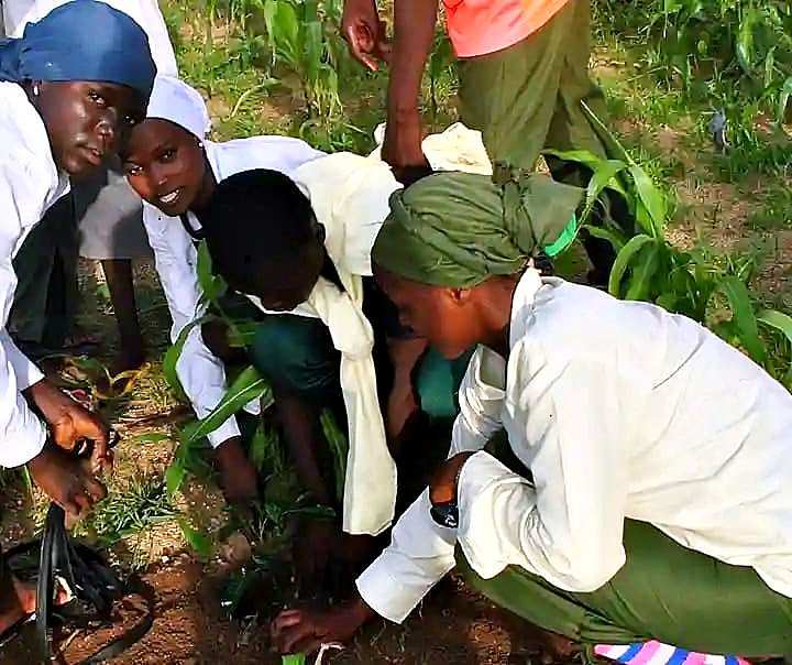 Students and volunteers planting a tree seedling during the 2026 Tree Planting Campaign
