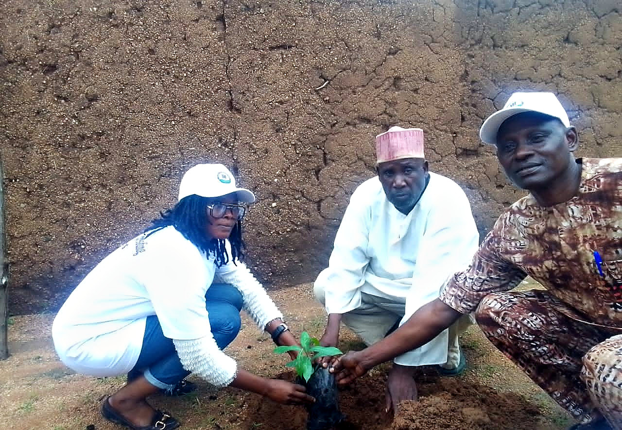 EHF staff and a community elder planting an Olive seedling in Mukuvinye Hlidi B, Hong LGA